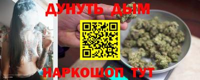 сатива Кудрово